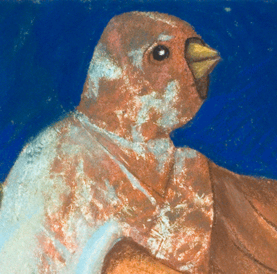 2008 gif